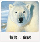 校讐 : 白熊